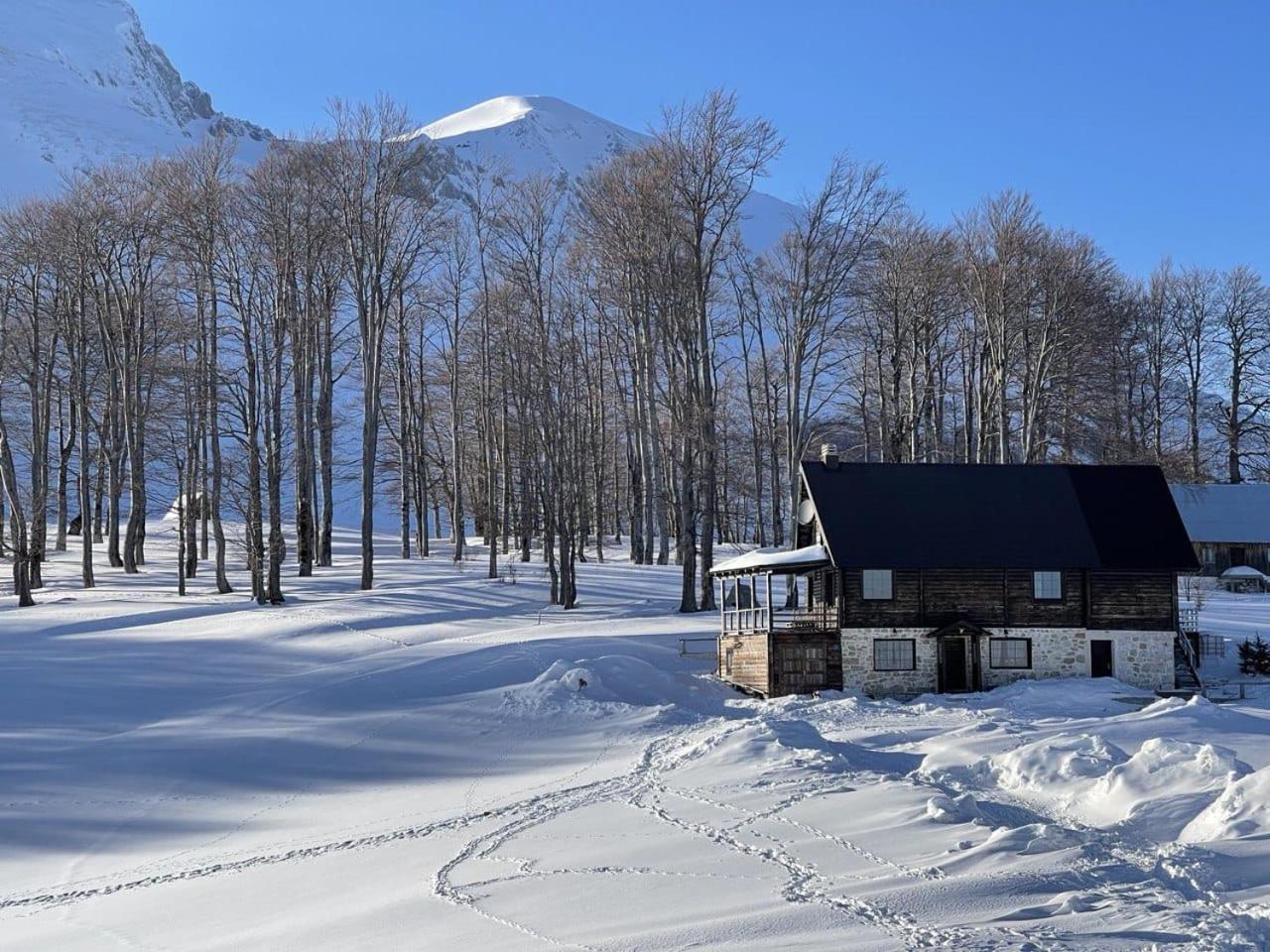 Prival.club Zabljak (Zabljak)